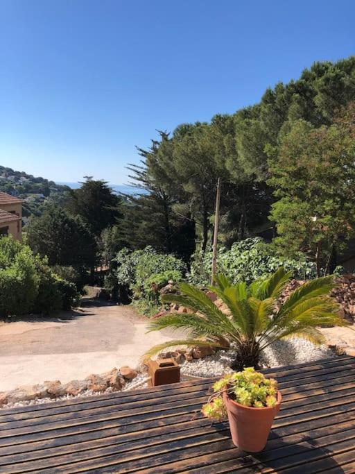 Maison St Clair Vue Mer Сет Екстериор снимка